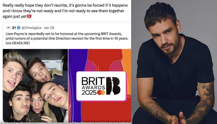 One Direction reunion at BRIT Awards seems to be a bad idea for some fans